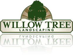 Willow Tree Landscapes